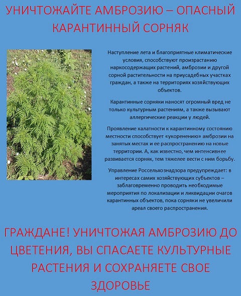 ynichtojaite ambroziu 07-2020