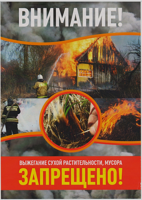 pozhar 2024 05
