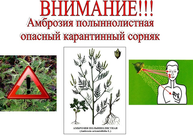 image2024 06 25