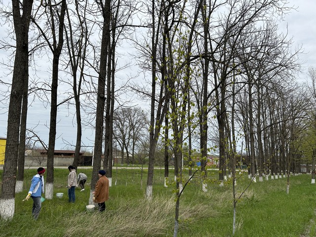 foto 1305 02