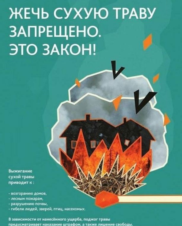foto 2025 05 13 09 35